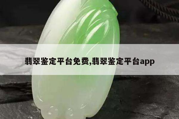 翡翠鉴定平台免费,翡翠鉴定平台app