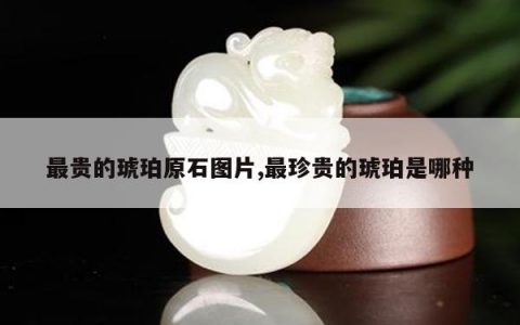 最贵的琥珀原石图片,最珍贵的琥珀是哪种