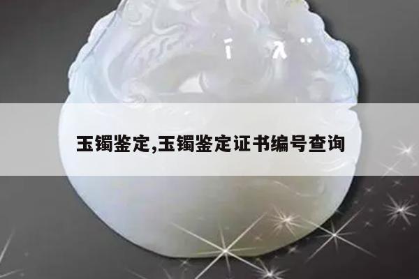 玉镯鉴定,玉镯鉴定证书编号查询