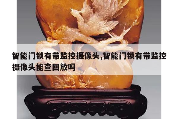 智能门锁有带监控摄像头,智能门锁有带监控摄像头能查回放吗