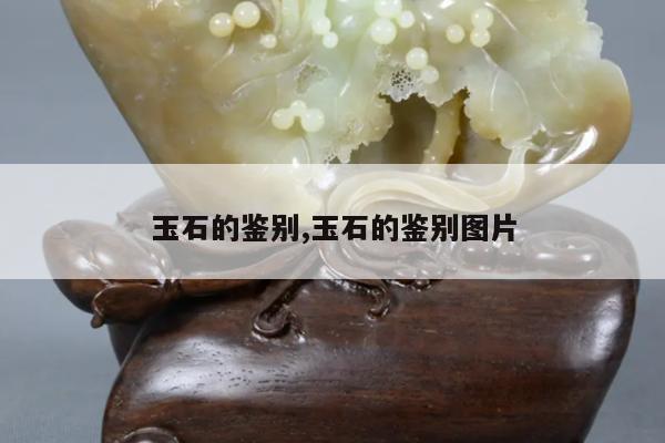 玉石的鉴别,玉石的鉴别图片