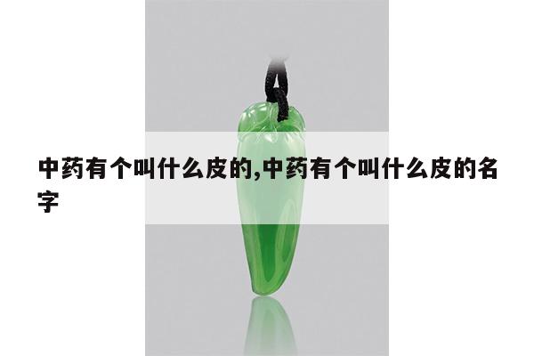 中药有个叫什么皮的,中药有个叫什么皮的名字