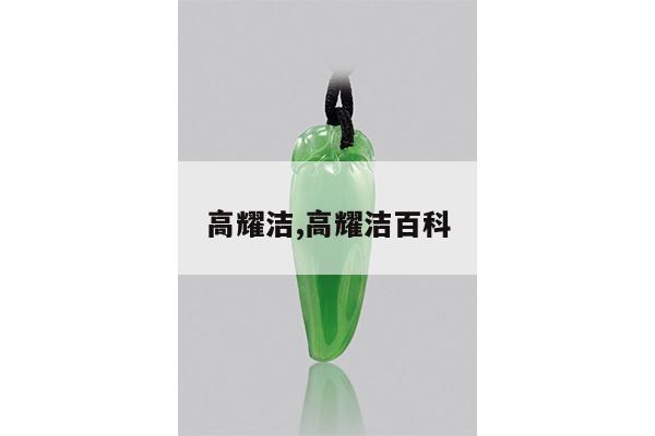高耀洁,高耀洁百科