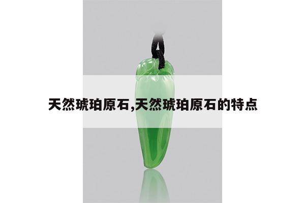 天然琥珀原石,天然琥珀原石的特点