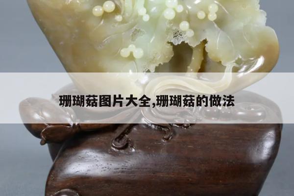 珊瑚菇图片大全,珊瑚菇的做法