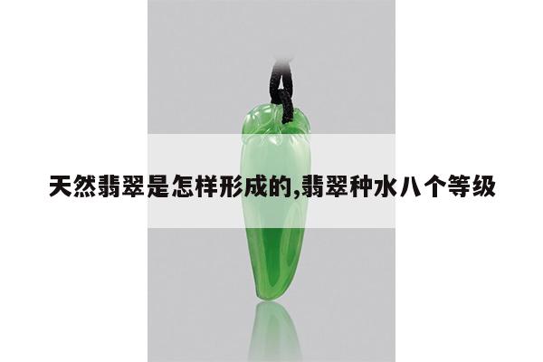 天然翡翠是怎样形成的,翡翠种水八个等级