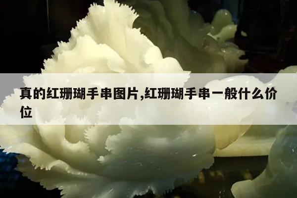 真的红珊瑚手串图片,红珊瑚手串一般什么价位