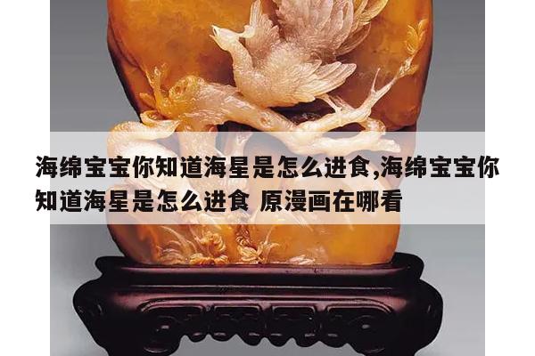 海绵宝宝你知道海星是怎么进食,海绵宝宝你知道海星是怎么进食 原漫画在哪看