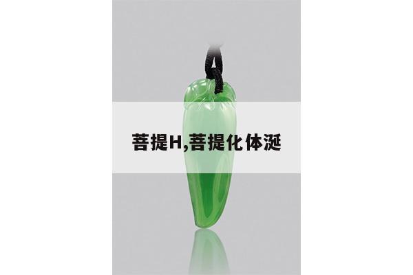 菩提H,菩提化体涎