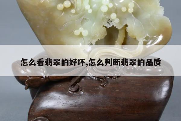 怎么看翡翠的好坏,怎么判断翡翠的品质