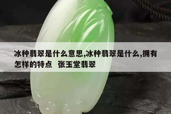 冰种翡翠是什么意思,冰种翡翠是什么,拥有怎样的特点 张玉堂翡翠