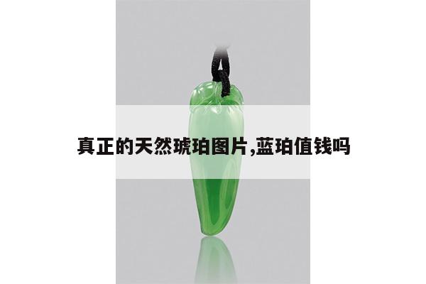 真正的天然琥珀图片,蓝珀值钱吗