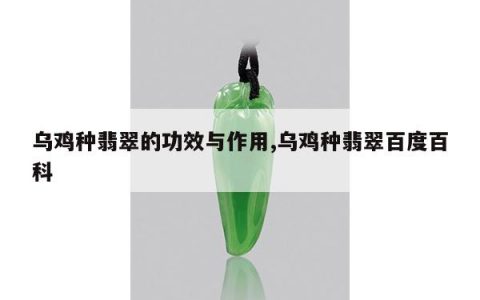 乌鸡种翡翠的功效与作用,乌鸡种翡翠百度百科