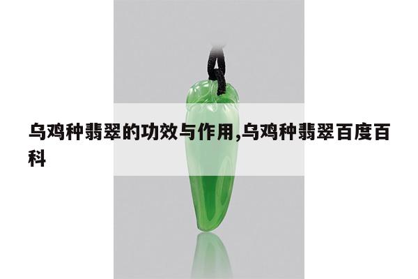乌鸡种翡翠的功效与作用,乌鸡种翡翠百度百科
