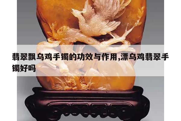 翡翠飘乌鸡手镯的功效与作用,漂乌鸡翡翠手镯好吗