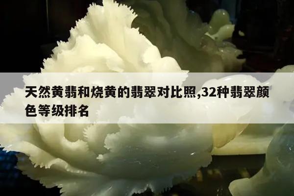 天然黄翡和烧黄的翡翠对比照,32种翡翠颜色等级排名