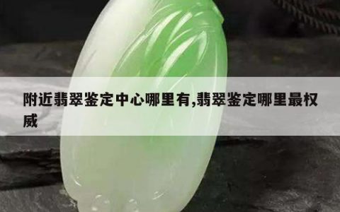 附近翡翠鉴定中心哪里有,翡翠鉴定哪里最权威