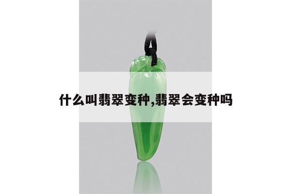 什么叫翡翠变种,翡翠会变种吗