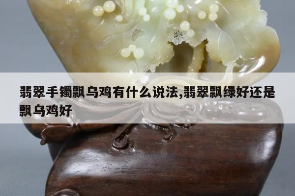 翡翠手镯飘乌鸡有什么说法,翡翠飘绿好还是飘乌鸡好