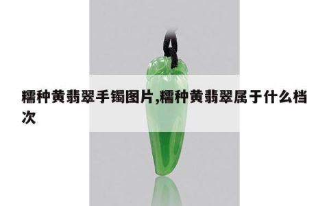 糯种黄翡翠手镯图片,糯种黄翡翠属于什么档次