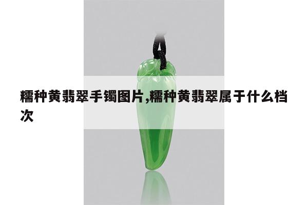 糯种黄翡翠手镯图片,糯种黄翡翠属于什么档次