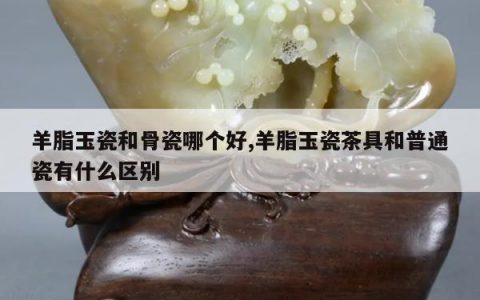 羊脂玉瓷和骨瓷哪个好,羊脂玉瓷茶具和普通瓷有什么区别