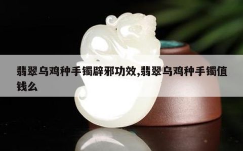 翡翠乌鸡种手镯辟邪功效,翡翠乌鸡种手镯值钱么