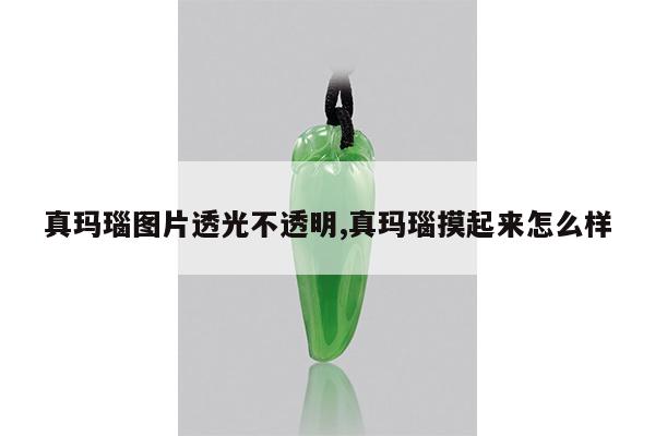 真玛瑙图片透光不透明,真玛瑙摸起来怎么样