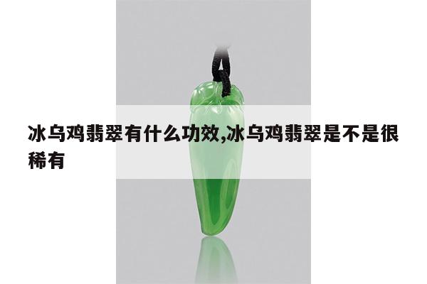 冰乌鸡翡翠有什么功效,冰乌鸡翡翠是不是很稀有
