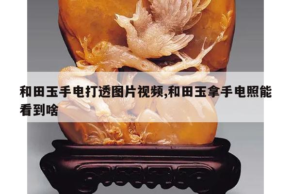 和田玉手电打透图片视频,和田玉拿手电照能看到啥