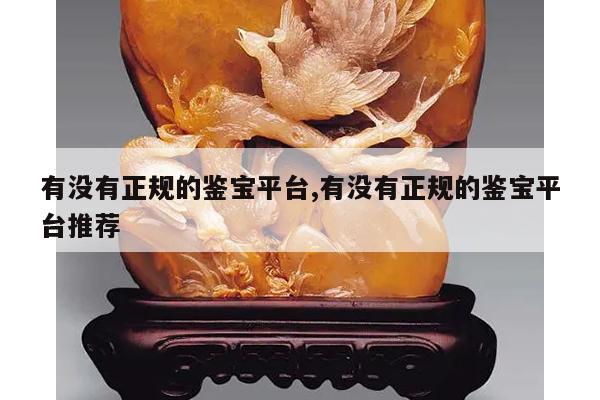 有没有正规的鉴宝平台,有没有正规的鉴宝平台推荐
