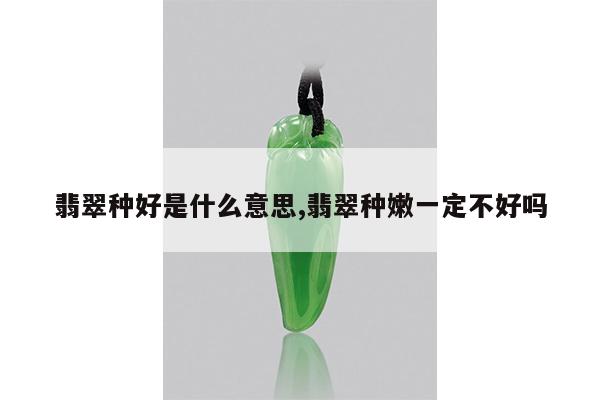翡翠种好是什么意思,翡翠种嫩一定不好吗