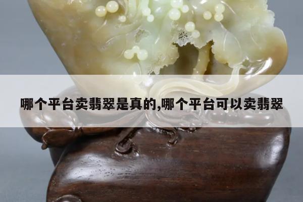 哪个平台卖翡翠是真的,哪个平台可以卖翡翠