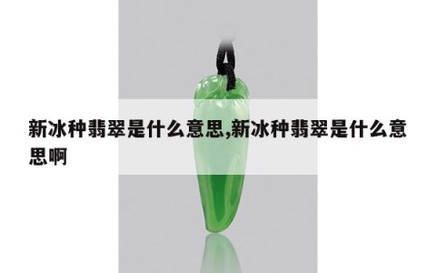 新冰种翡翠是什么意思,新冰种翡翠是什么意思啊
