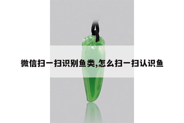微信扫一扫识别鱼类,怎么扫一扫认识鱼
