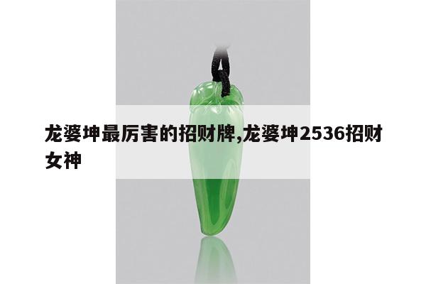 龙婆坤最厉害的招财牌,龙婆坤2536招财女神