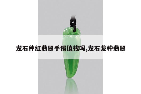 龙石种红翡翠手镯值钱吗,龙石龙种翡翠