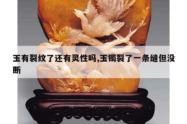 玉有裂纹了还有灵性吗,玉镯裂了一条缝但没断