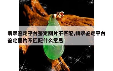 翡翠鉴定平台鉴定图片不匹配,翡翠鉴定平台鉴定图片不匹配什么意思