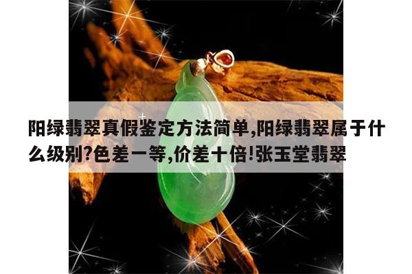 阳绿翡翠真假鉴定方法简单,阳绿翡翠属于什么级别?色差一等,价差十倍!张玉堂翡翠