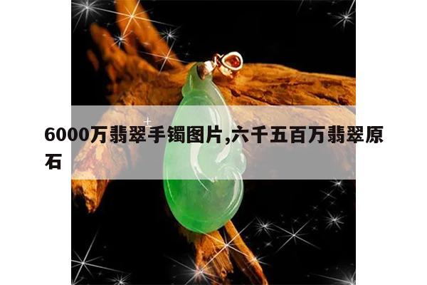 6000万翡翠手镯图片,六千五百万翡翠原石