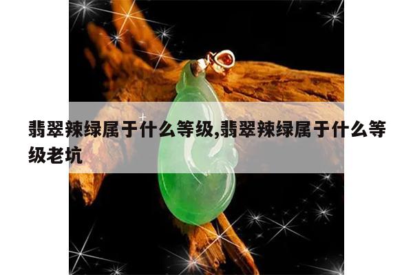 翡翠辣绿属于什么等级,翡翠辣绿属于什么等级老坑