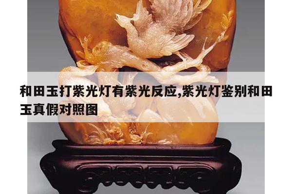 和田玉打紫光灯有紫光反应,紫光灯鉴别和田玉真假对照图