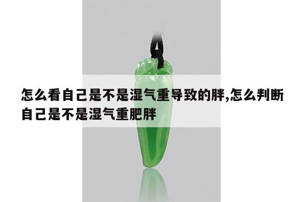怎么看自己是不是湿气重导致的胖,怎么判断自己是不是湿气重肥胖