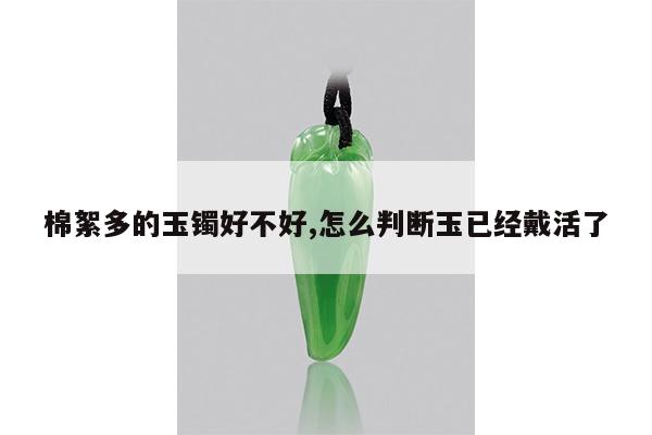 棉絮多的玉镯好不好,怎么判断玉已经戴活了