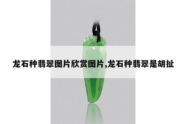 龙石种翡翠图片欣赏图片,龙石种翡翠是胡扯
