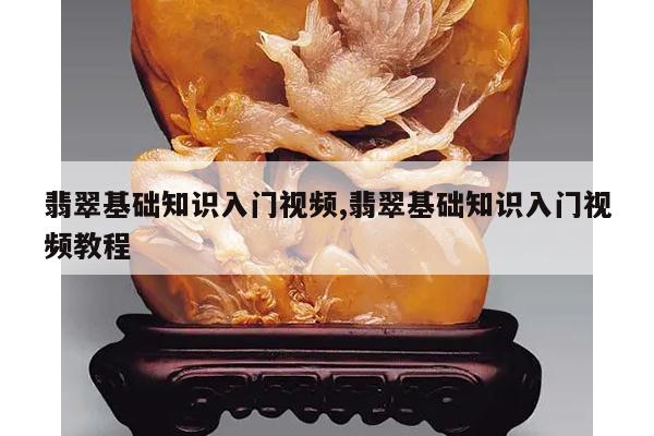 翡翠基础知识入门视频,翡翠基础知识入门视频教程