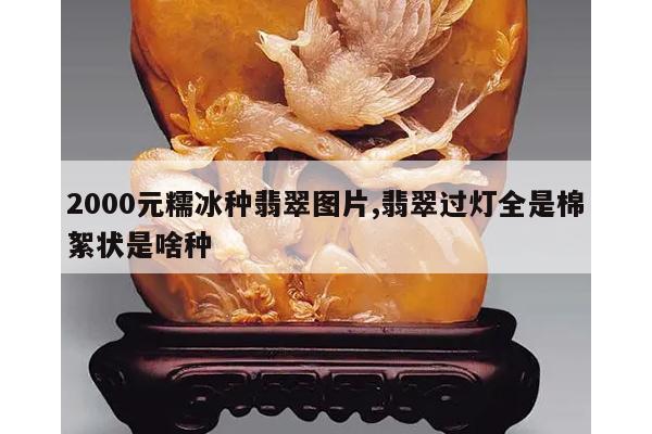 2000元糯冰种翡翠图片,翡翠过灯全是棉絮状是啥种