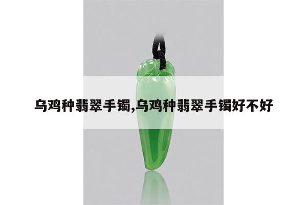 乌鸡种翡翠手镯,乌鸡种翡翠手镯好不好