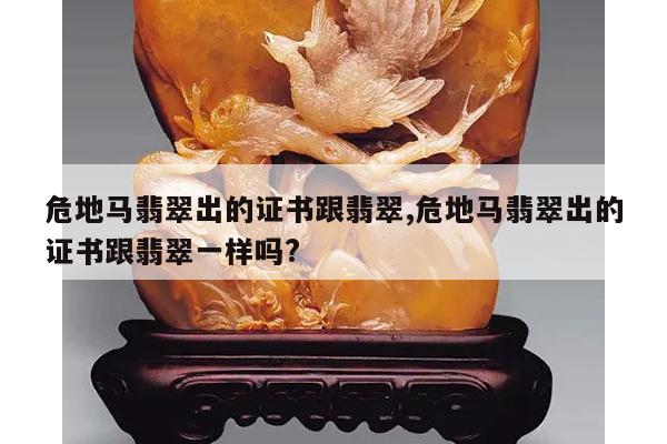危地马翡翠出的证书跟翡翠,危地马翡翠出的证书跟翡翠一样吗?